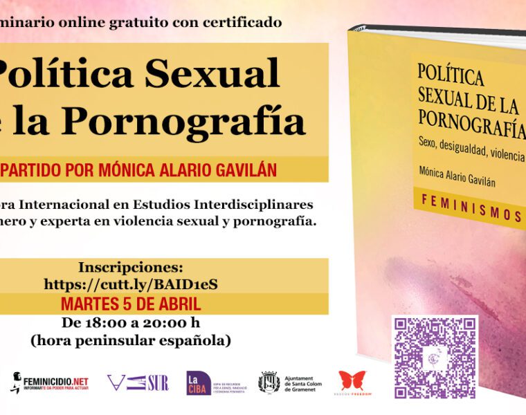 Polítioca sexual de la pornografía