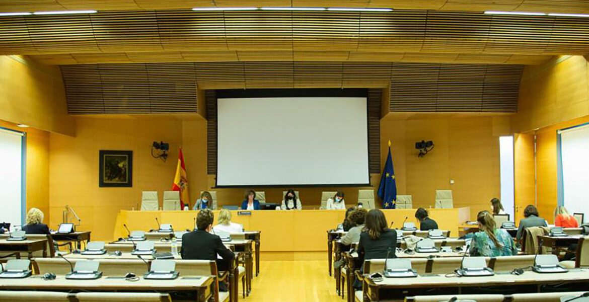 Comisión de Igualdad del Congreso de los Diputados.