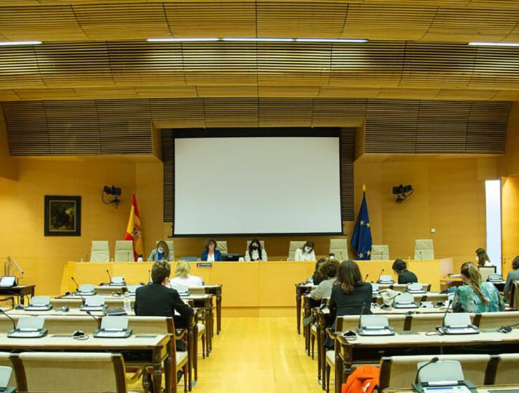 Comisión de Igualdad del Congreso de los Diputados.