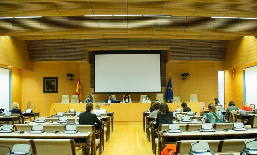 Comisión de Igualdad del Congreso de los Diputados.