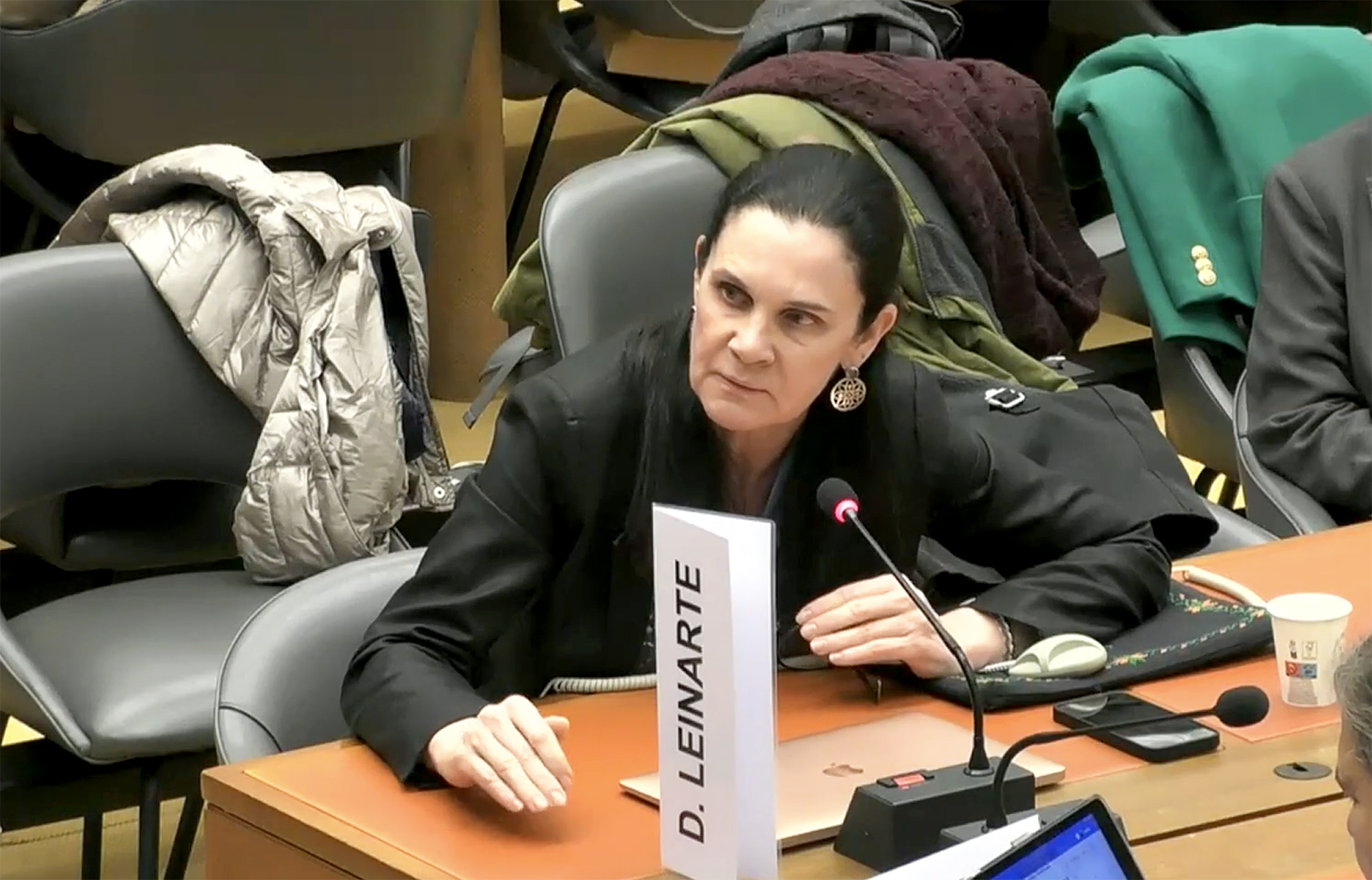 La experta del Comité de la CEDAW Dalia Leinarte, durante sus preguntas de seguimiento al Gobierno español en la sesión del pasado 16 de mayo.